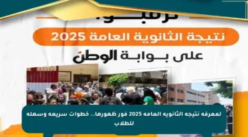 لمعرفة نتيجة الثانوية العامة 2025 فور ظهورها.. خطوات سريعة وسهلة للطلاب